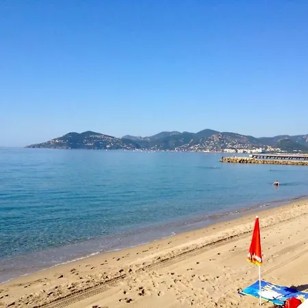Royal Palm * Cannes